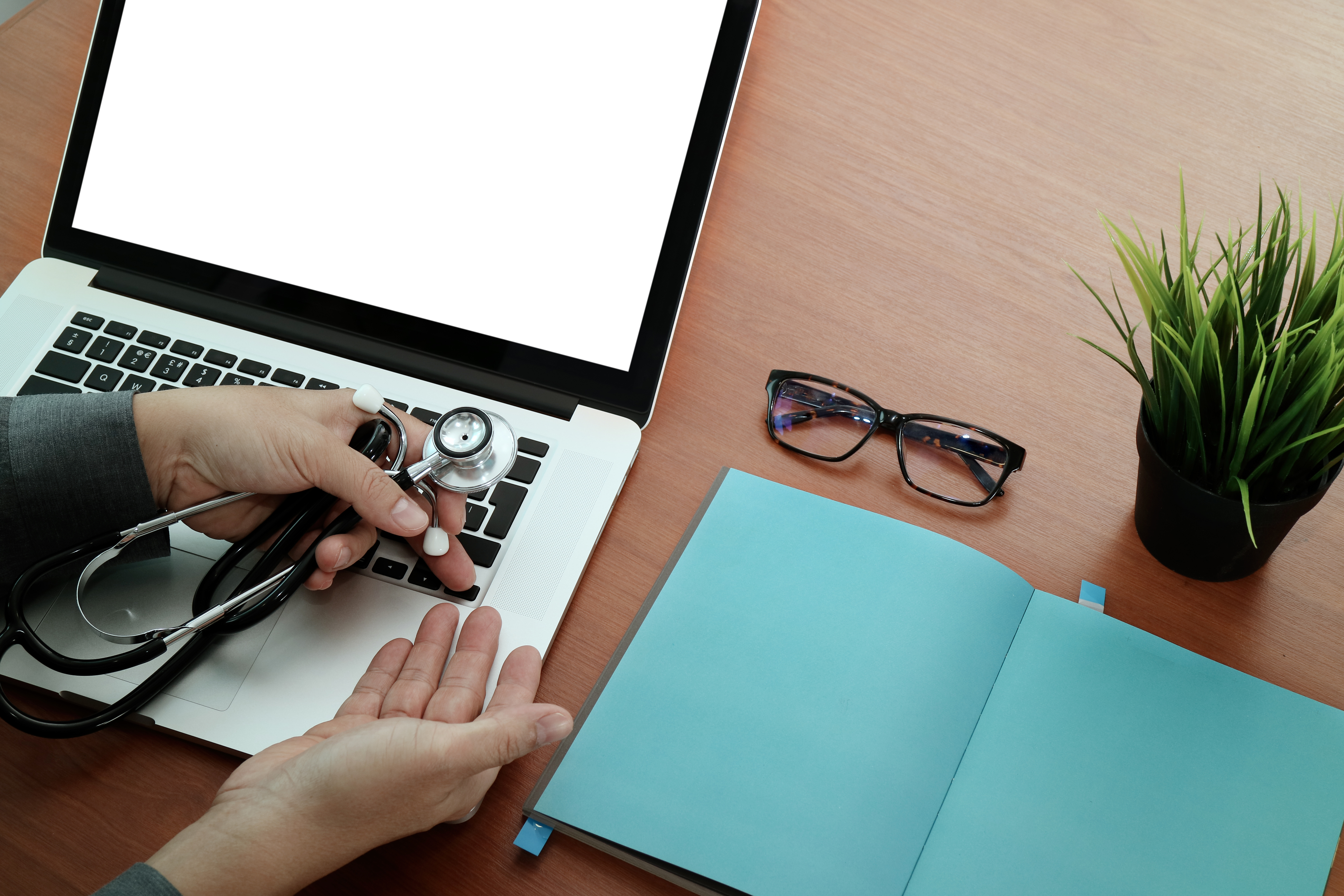 Custom Software Development